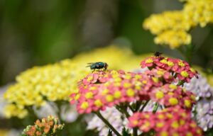 鋭い占い師に聞く復縁のための電話占いとは？