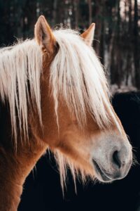 電話占いで復縁を叶えるおまじないは？