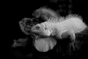 祈願や祈祷で復縁を叶えるための方法は？