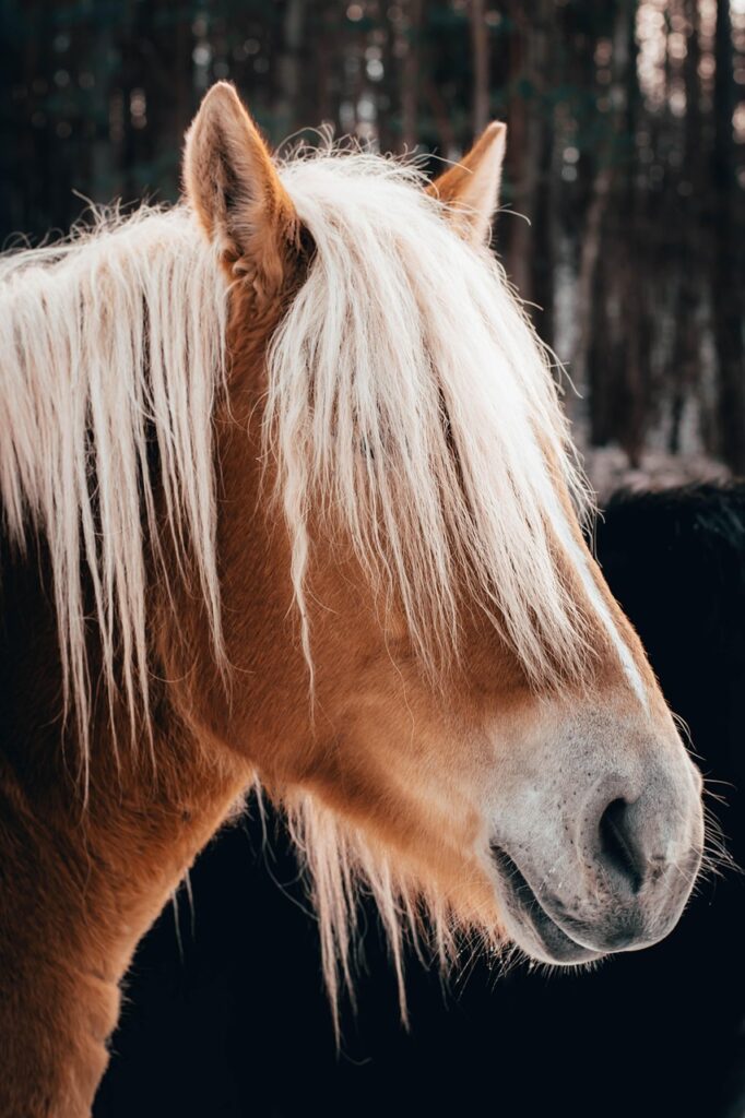 電話占いで復縁を成功させた人の経験談はどんなもの？